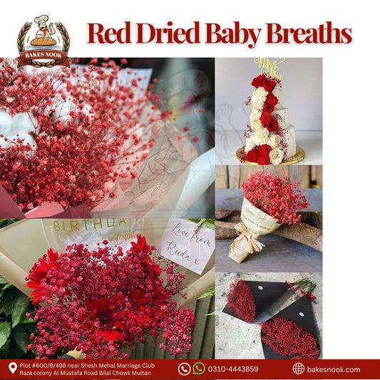RED DRIED BABY BREATH