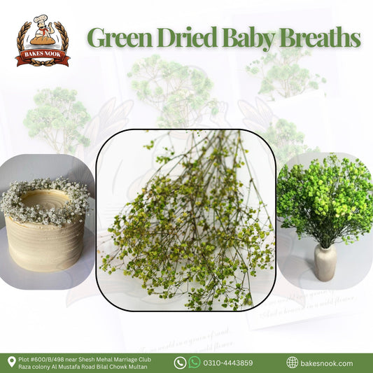 GREEN DRIED BABY BREATH