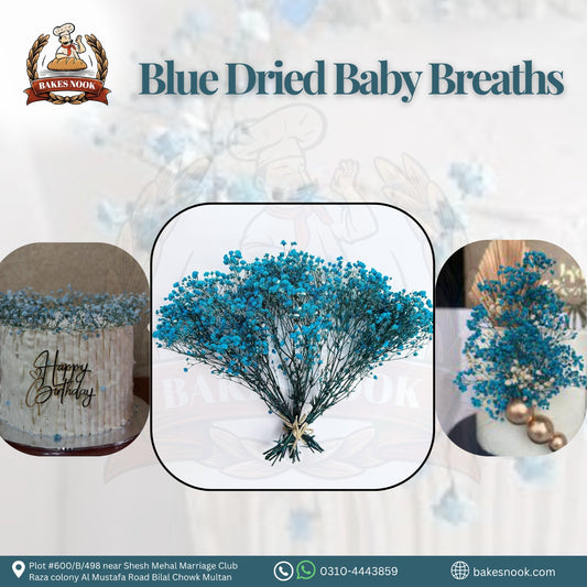 BLUE DRIED BABY BREATH