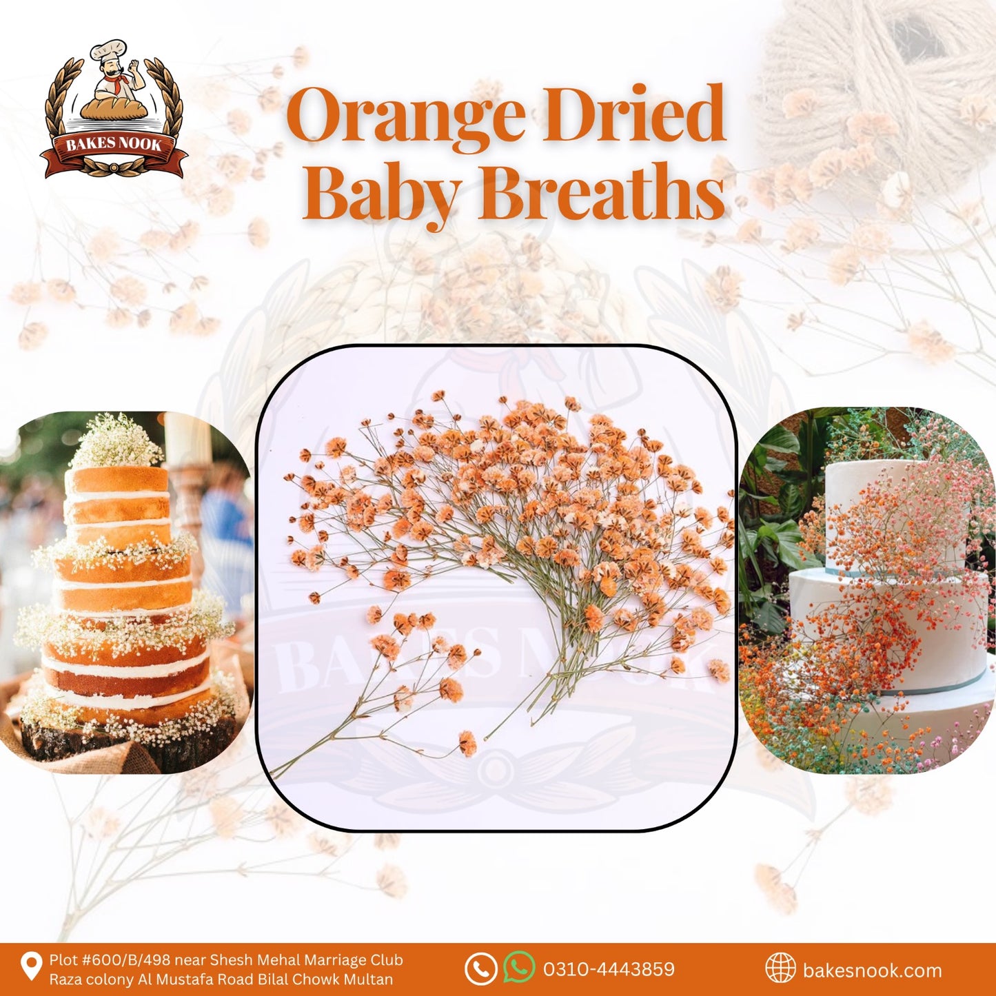 ORANGE BABY BREATH