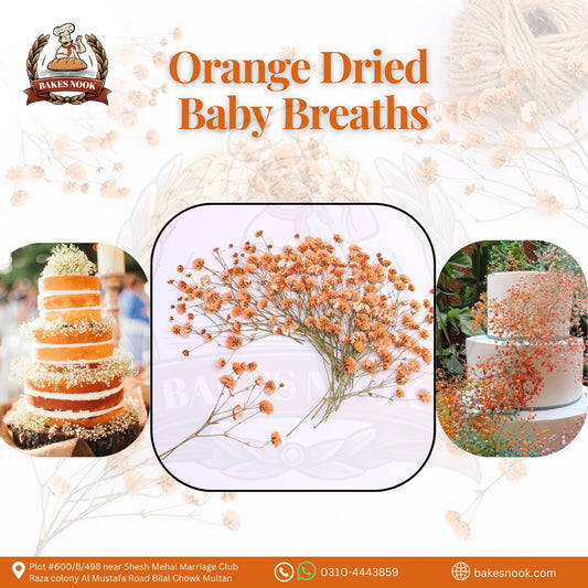 ORANGE BABY BREATH